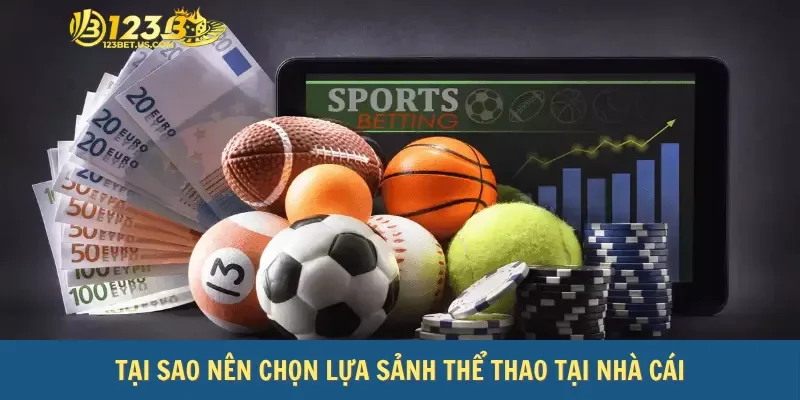 Tại sao nên chọn lựa sảnh thể thao tại nhà cái